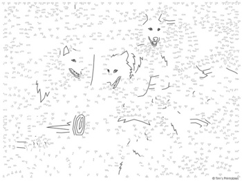 Wolf Pack Extreme Difficulty Dot To Dot Connects The Dots 1000 Dots