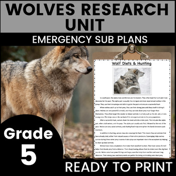 Preview of Wolves 5th Grade Emergency Sub Plans Math English Science Substitute Binder