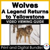 Wolves A Legend Returns to Yellowstone