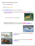 Wolves of Yellowstone Graphic Organizer (How Wolves Change