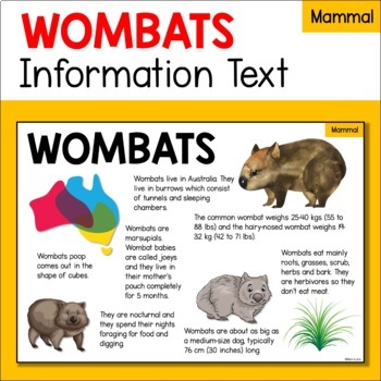 Preview of Wombat Information Text Reading Passage - Australian Mammal - Marsupial