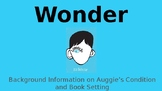 Wonder Background Information Presentation