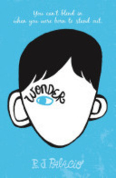 Preview of Wonder - Comprehension Questions and Journal Entries