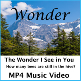 Wonder Music Video MP4