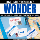 Wonder Novel Study Vocabulary: Word Wall Cards for R.J. Pa