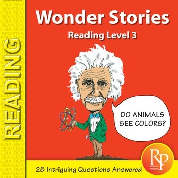 Preview of Reading Comprehension Passages and Questions - Fun Engaging Main Idea Worksheets
