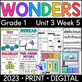 Wonders 1st Grade 2023: Unit 3 Week 5 From Cows to You Supplement