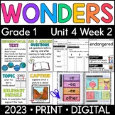 Wonders 1st Grade 2023: Unit 4 Week 2 Animal Teams Supplement