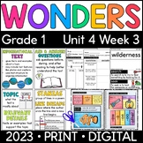 Wonders 1st Grade 2023: Unit 4 Week 3 Vulture View Supplement