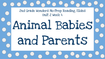 Preview of Wonders 2nd Grade Unit 2 Week 4 No-Prep Reading Slides