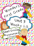 Wonders First Grade: Small Group Resources-Unit 3