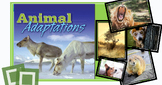 Wonders Grade 4 Unit 2 Animal Adaptations- Interactive PPT