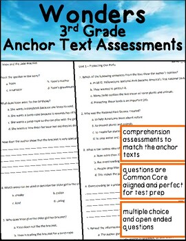 Wonders 3rd Grade Main Reading Story Assessments - Printable & Distance