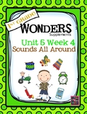 1st Grade Wonders Unit 5 Week 4  Sounds All Around