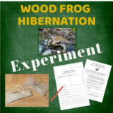 Wood Frog Hibernation Experiment