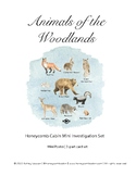 Woodland Animal 3 Part Cards & Poster | Fall Winter Nature