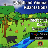 Woodland Animal Adaptations Interactive Notebook for Googl