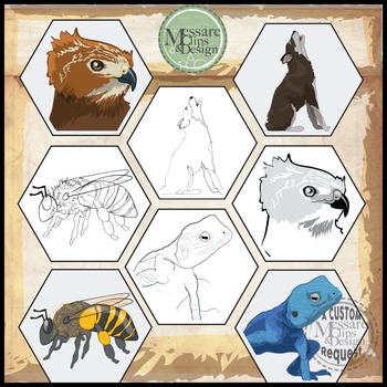 Preview of Woodland Animal Food Web Clip Art {Messare Clips and Design}