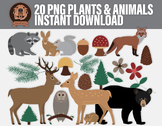 Woodland Wildlife Clipart - 20 Png Plants & Animals