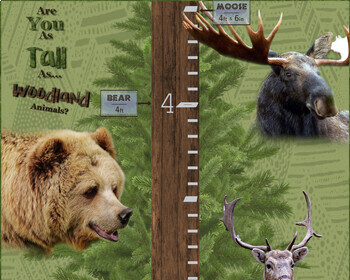 Preview of Woodland Animal Height Chart
