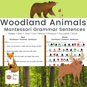 Preview of Woodland Animal Montessori Grammar