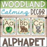 Woodland Animals Classroom Alphabet Posters | Print & Curs