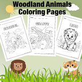 Woodland Animals Coloring Pages - Forest Animals Coloring 