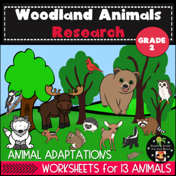 Preview of Second Grade Animal Research Project - Woodland Habitat Worksheets