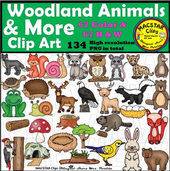 Woodland Animals and More Clipart by Bilingual Stars Mrs Partida