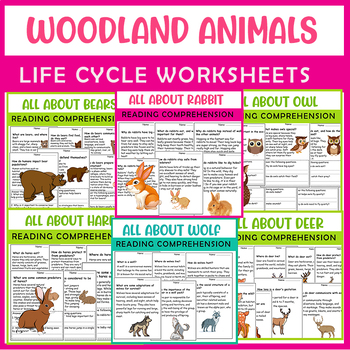 Preview of Woodland Animals worksheets Bundle,Owl, Wolves, Hares, Bear, Foxes, and Rabbit