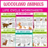 Woodland Animals worksheets Bundle,Owl, Wolves, Hares, Bea