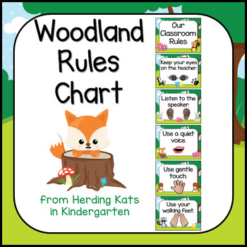 Kindergarten Rules Chart