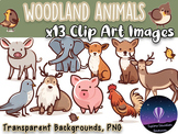 Woodland Animals Clip Art - 13 PNG Images in Light Colours