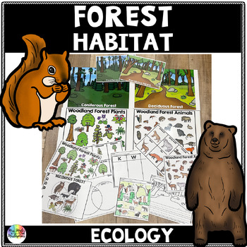 Preview of Woodland Forest Animal Habitat and Ecosystem | Reading and Science Ecology