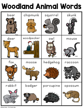 Woodland (Forest) Animal Words - Writing Center Word Lists by Renee Dooly