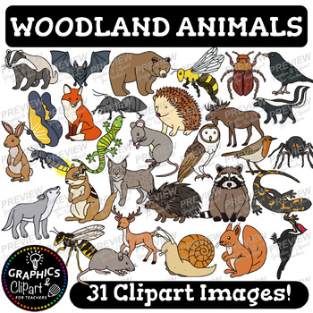 Preview of Woodland Forest Animals Clip Art Set {Clipart for Teachers}
