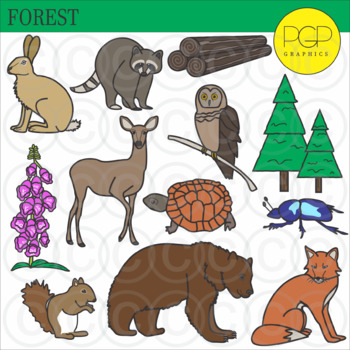 forest ecosystem pictures with animals