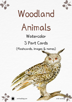 Preview of Woodland Forest Animals Watercolor 3 Card Set | Vocabulary Flash Cards