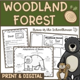 Woodland Forest Habitat Animal Adaptations