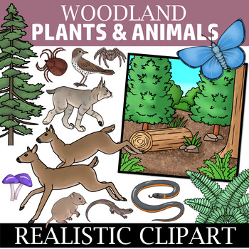 Preview of Woodland Clipart  (Forest Plants and Animals Clip Art)