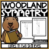 Woodland Symmetry Drawing Activity for Art and Math