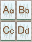 Woodland Theme Classroom Decoration - Alphabet