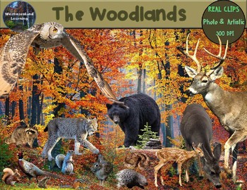 Preview of Woodlands Forest Animals Clip Art Habitat Biome Real Clips Photo & Artistic