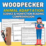 Woodpecker: Animal Adaptation Science & Nonfiction Reading
