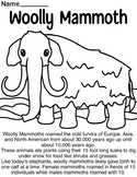 Woolly Mammoth Worksheets