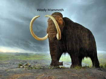 Preview of Wooly Mammoth Power Point - History Facts Information Pictures Extinct