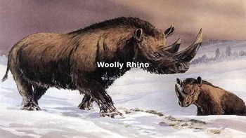 Preview of Wooly Rhino - Power Point - Full History Facts Information Pictures