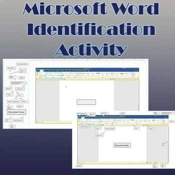 Preview of Word Basics: Identification Activity/Assessment