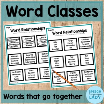 Preview of Word Classes | Semantic Relationships No Prep Worksheets