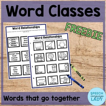 Preview of Word Classes | Semantic Relationships FREEBIE